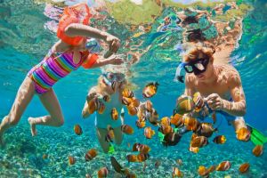 bahamas-eco-tours