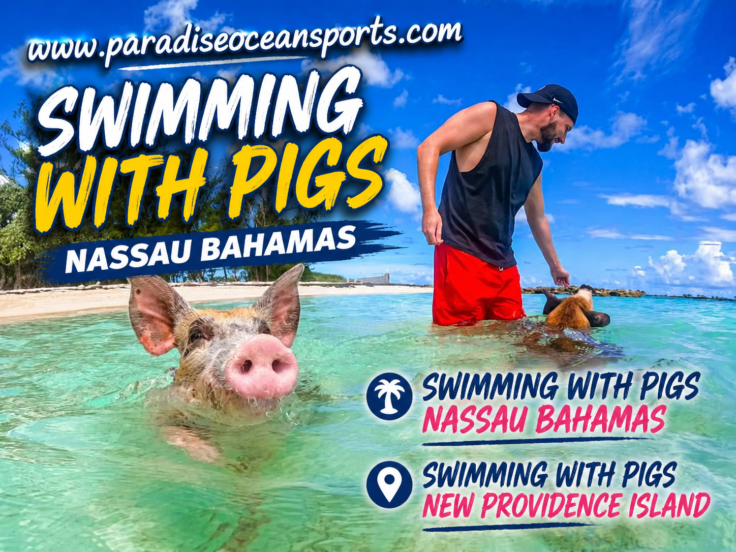 swimming with pigs tour nassau