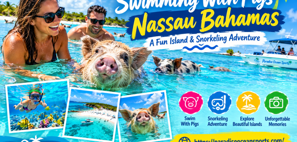 swimming with pigs tour nassau