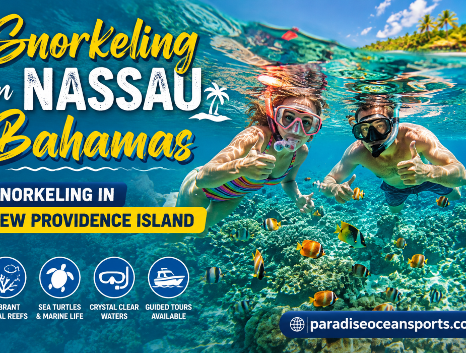 Snorkeling in Nassau Bahamas