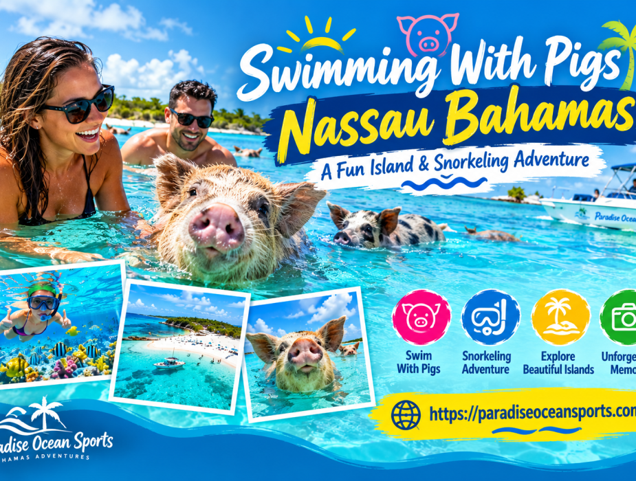 swimming with pigs tour nassau